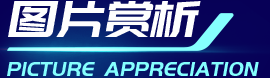 008008pg国际(中国区)-官方网站