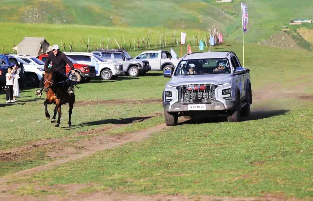 008008pg����(�й���)-�ٷ���վ